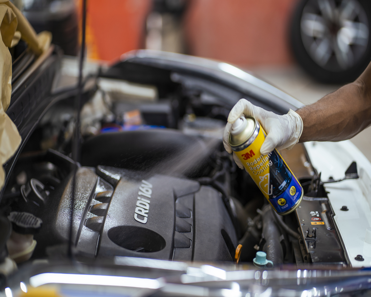 3m car care